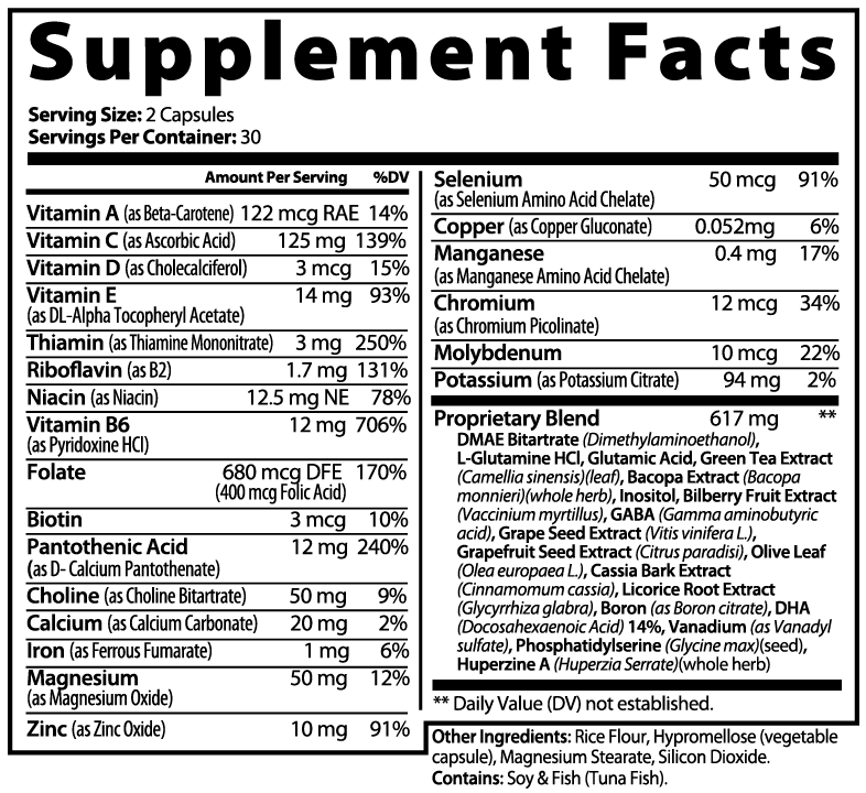 SpiceVita Brain & Focus Formula