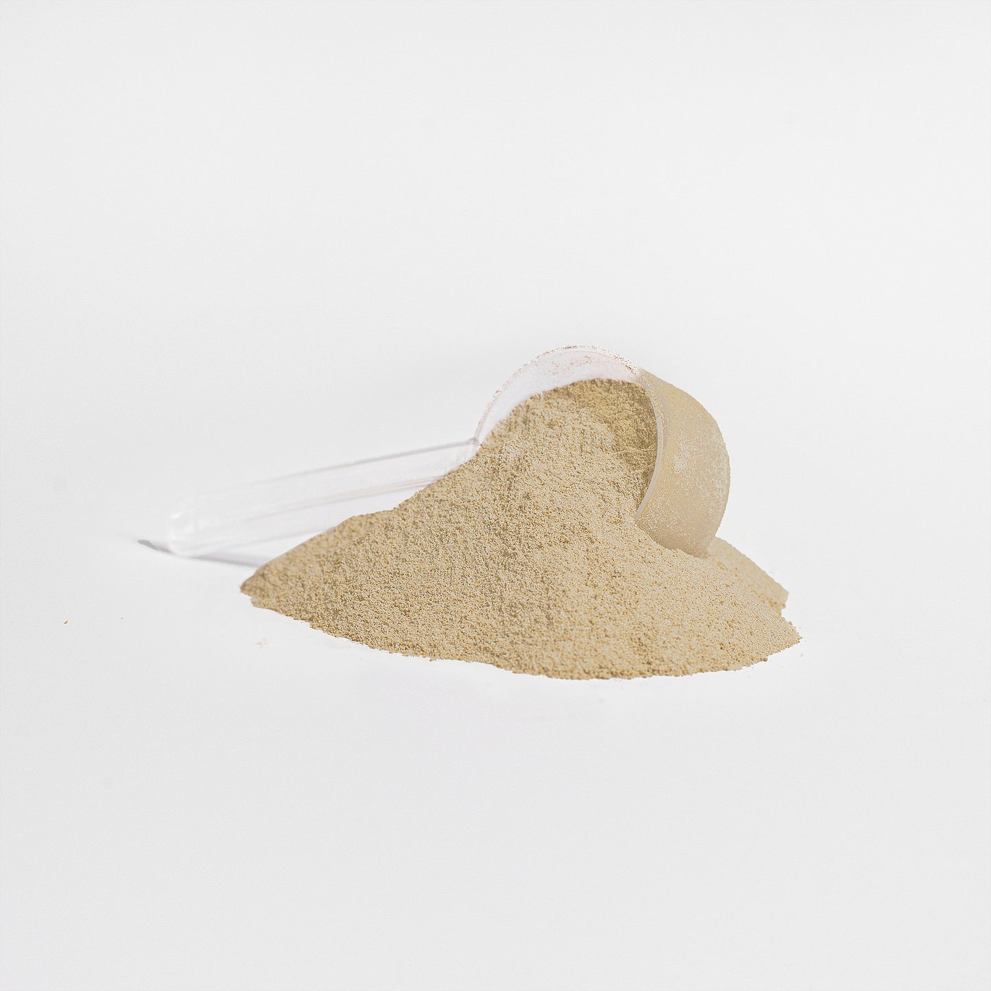 SpiceVita Plant Protein (Vanilla)