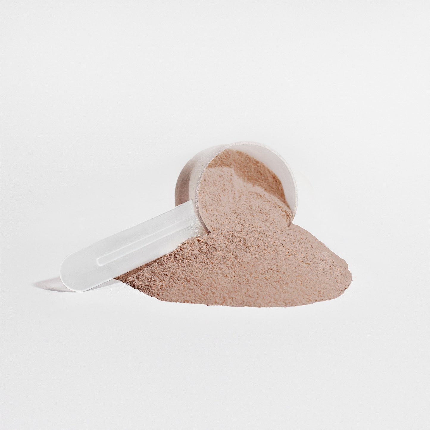 SpiceVita Plant Protein (Chocolate)